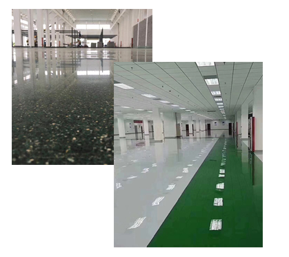 種類(lèi)多樣 種類(lèi)多樣